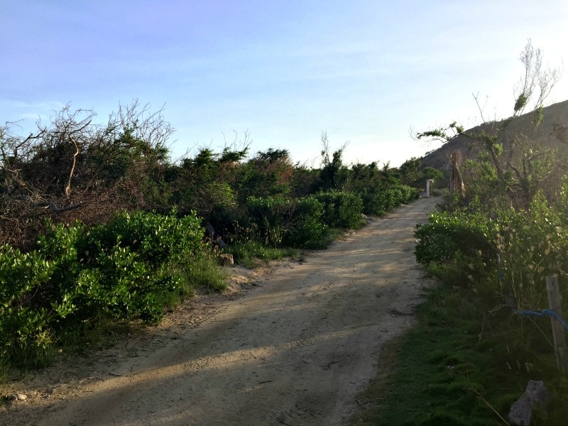 Path to Saline beach